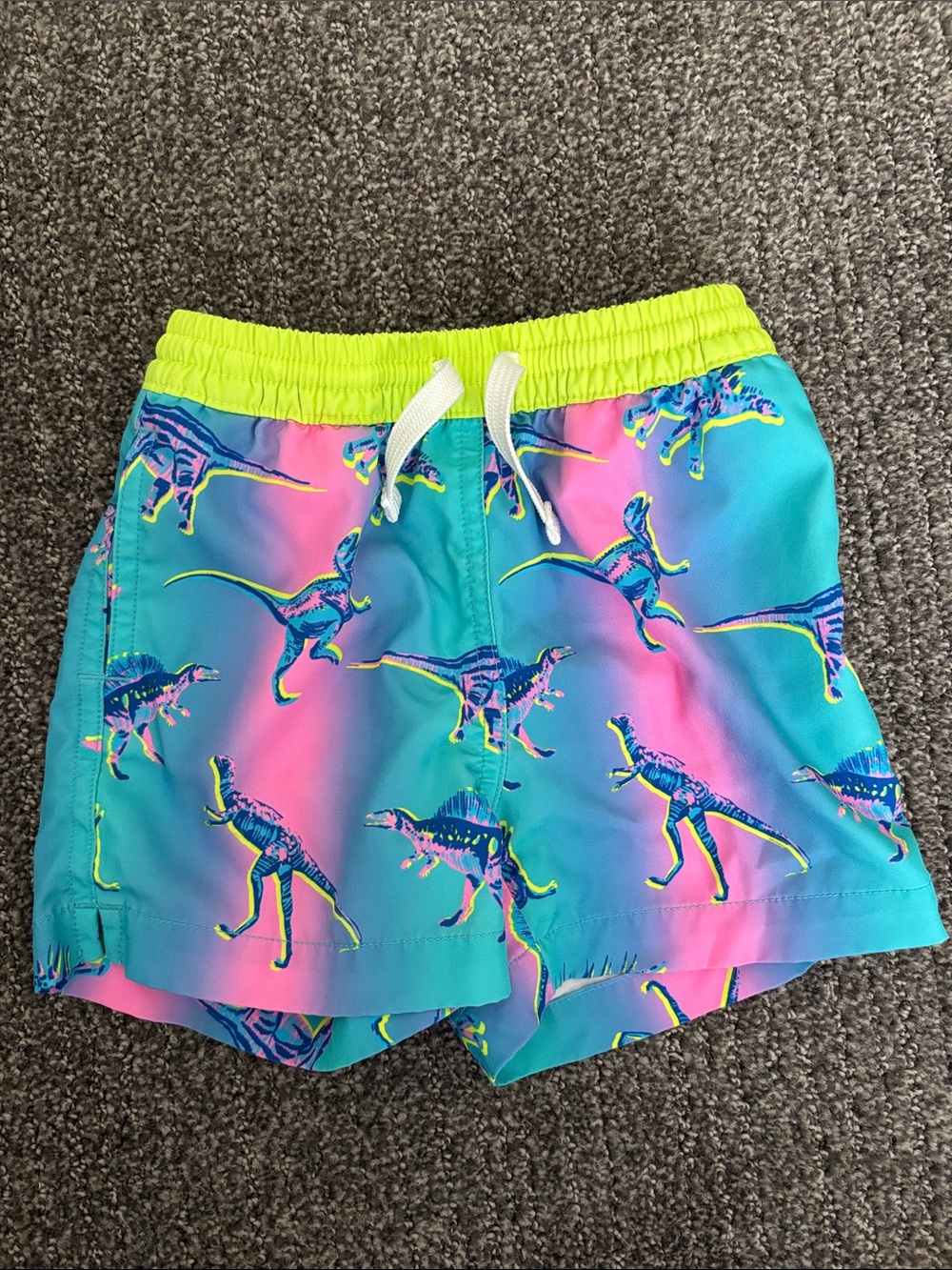 Chubbies Toddler Neon Dino Swim Trunks